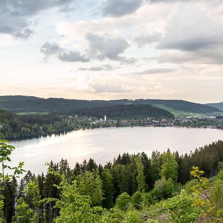 Ferienwohnung Sonnenglueck Mit Grosszuegigem Suedbalkon Lenzkirch Kültér fotó